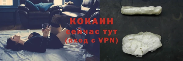 тгк Каменка