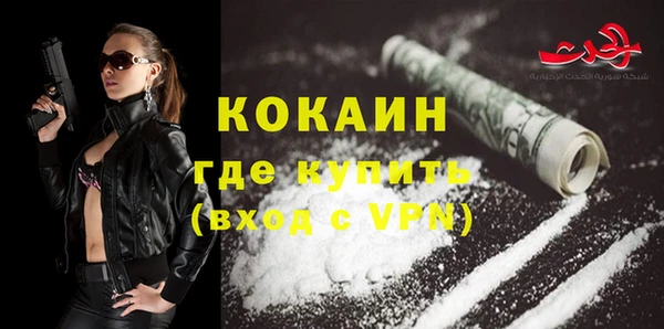 индика Новосибирск