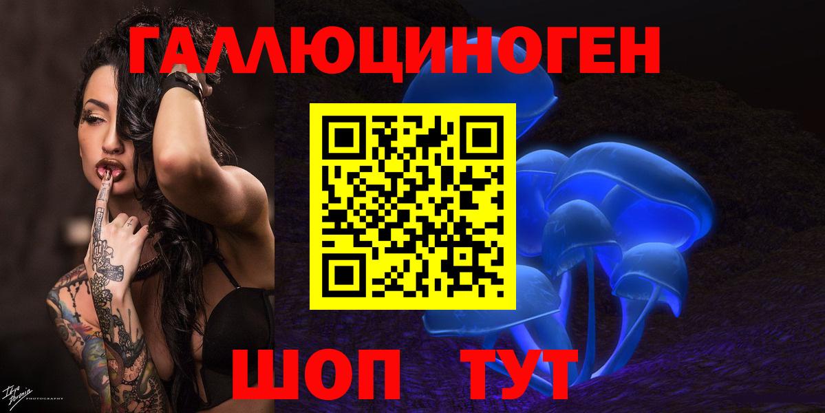Кингисепп  Псилоцибиновые грибы прущие грибы  Вход с VPN 